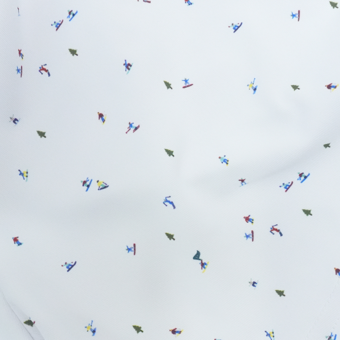 Ski